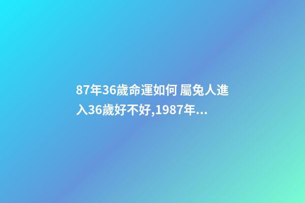87年36歲命運如何 屬兔人進入36歲好不好,1987年屬兔人最旺的年齡-第1張-觀點-玄機派